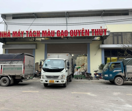 Nhập Nguyên Liệu Lúa