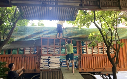 Tổng kho gạo miền bắc quyên thuỷ hưng yên